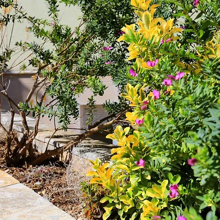 And With Parking Space - 11623