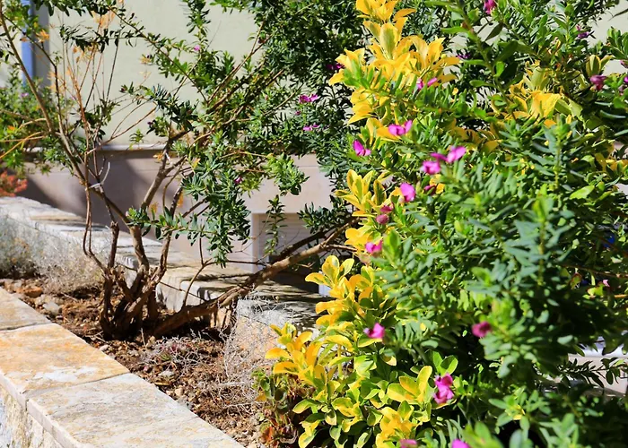 And With Parking Space - 11623